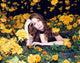 Alice S.